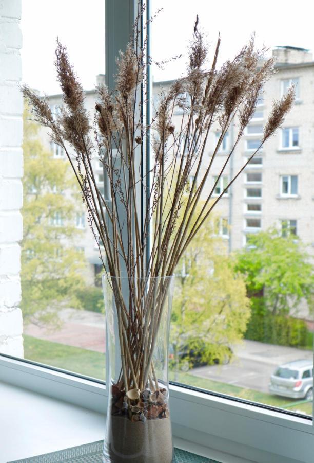 Neptune Ear, Family-Friendly, Modern, Fully-Equipped, Cozy Apartment Ventspils Exterior photo